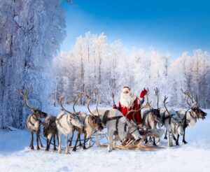 What are the Names of Santa’s Reindeer